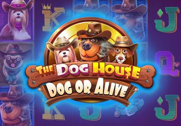 Кадр из игры Tiger Rush